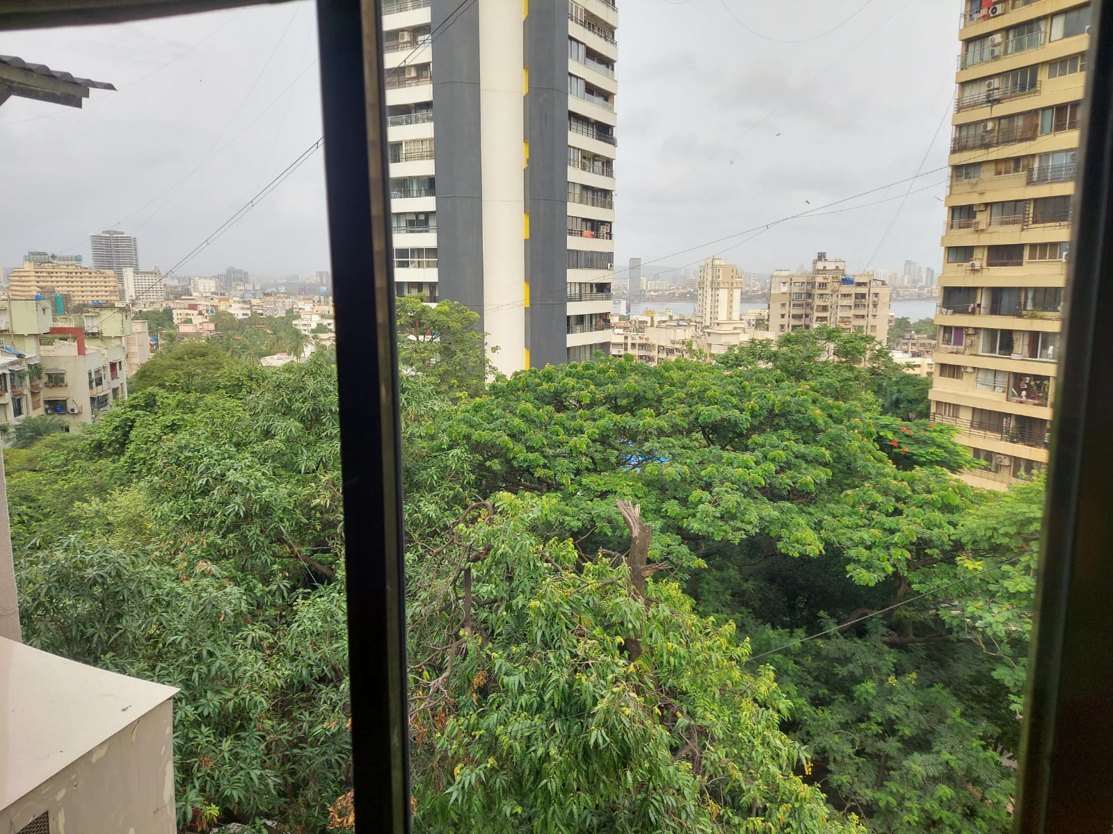 1 BHK Flat on Rent in Bandra West - Vindhyachal